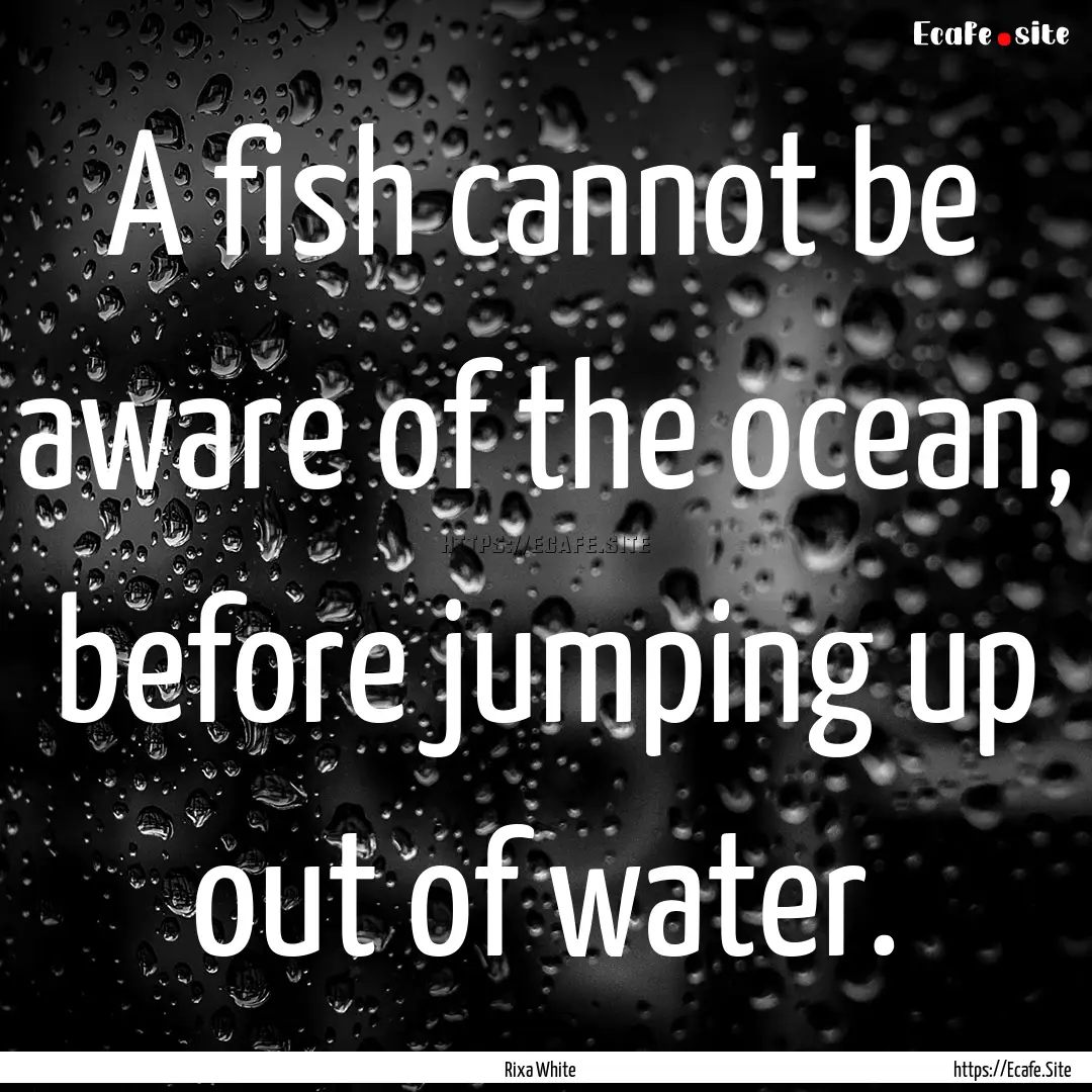 A fish cannot be aware of the ocean, before.... : Quote by Rixa White