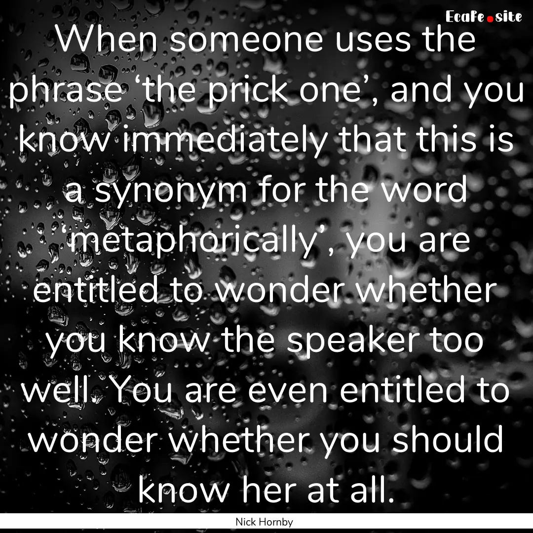 When someone uses the phrase ‘the prick.... : Quote by Nick Hornby