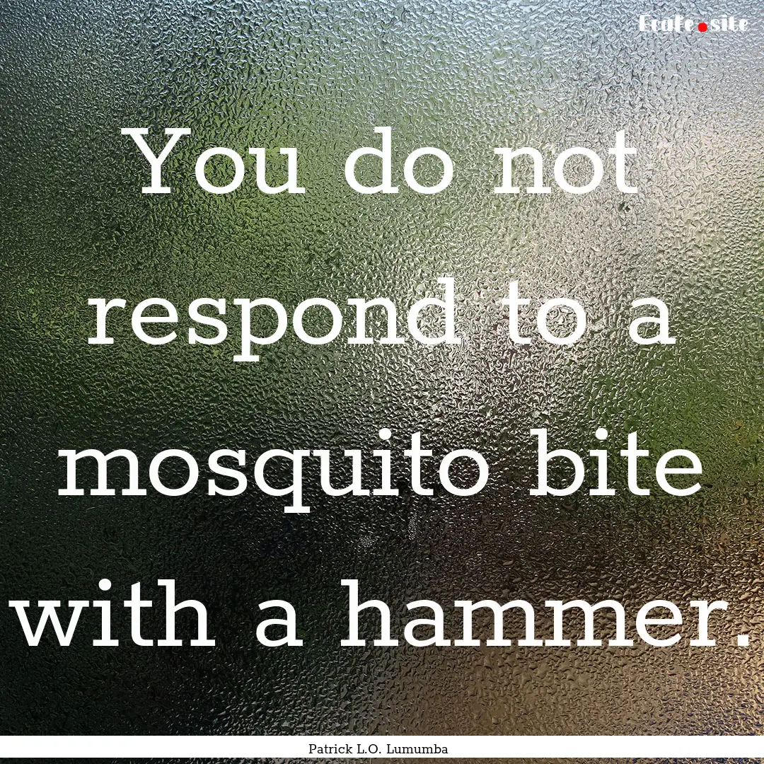 You do not respond to a mosquito bite with.... : Quote by Patrick L.O. Lumumba