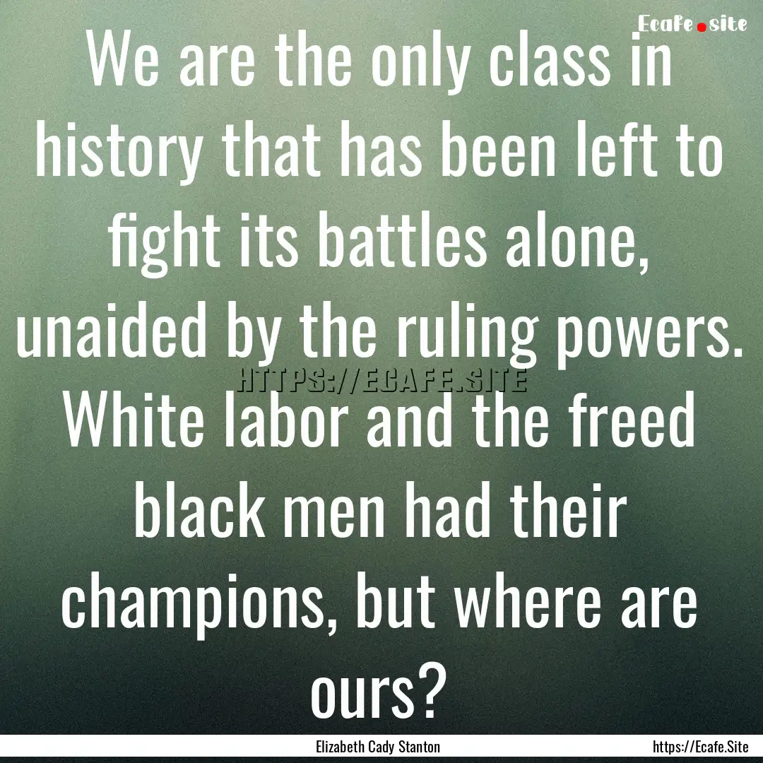 We are the only class in history that has.... : Quote by Elizabeth Cady Stanton