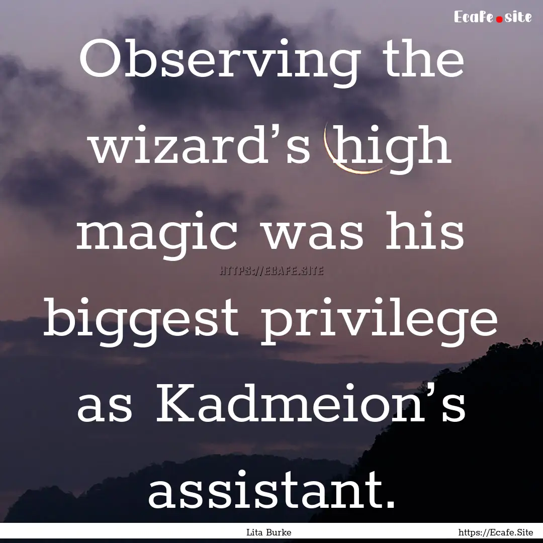 Observing the wizard’s high magic was his.... : Quote by Lita Burke