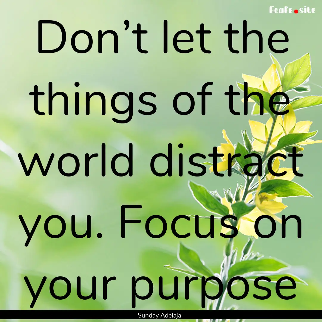 Don’t let the things of the world distract.... : Quote by Sunday Adelaja