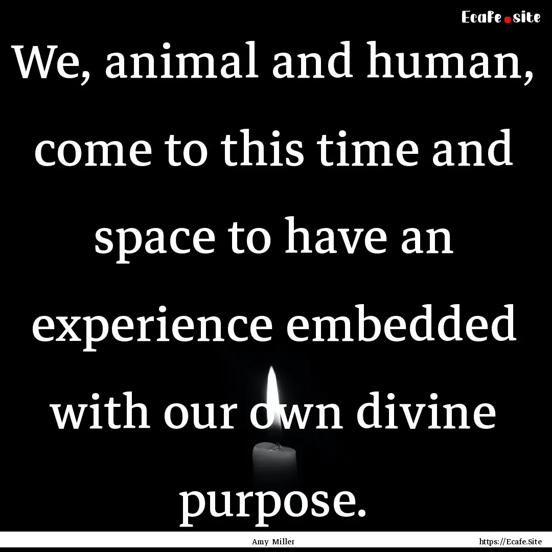 We, animal and human, come to this time and.... : Quote by Amy Miller