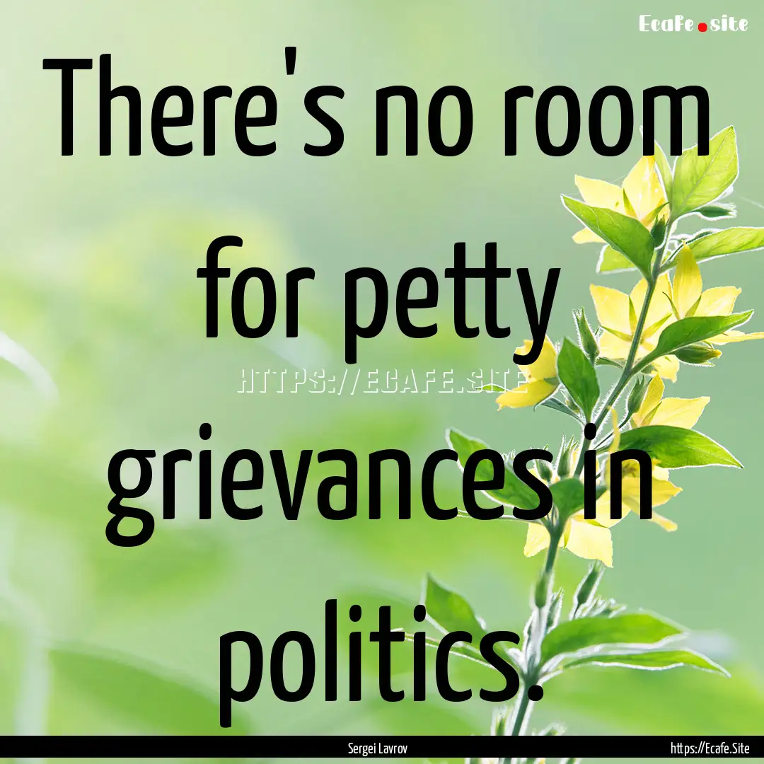 There's no room for petty grievances in politics..... : Quote by Sergei Lavrov