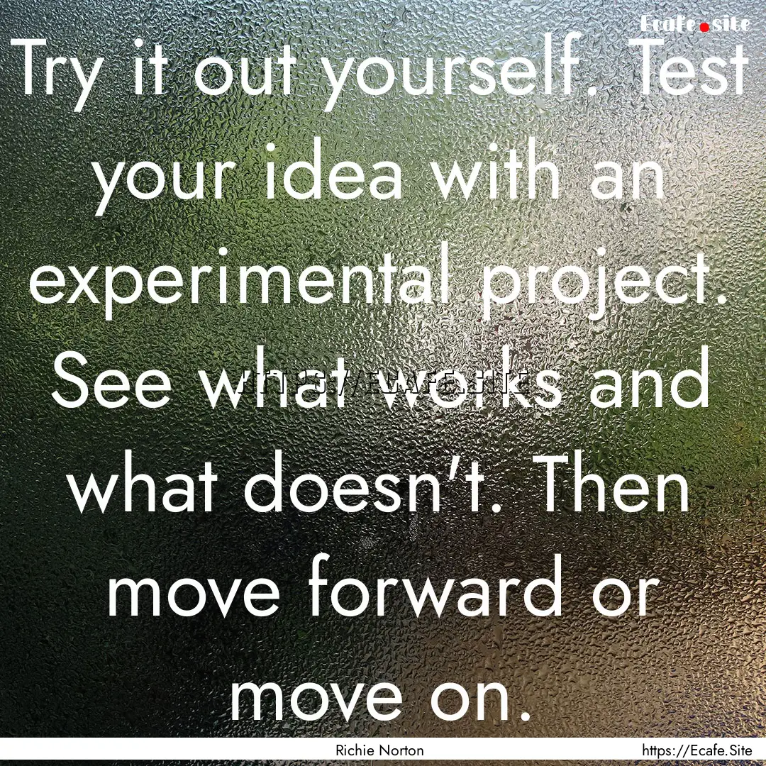 Try it out yourself. Test your idea with.... : Quote by Richie Norton