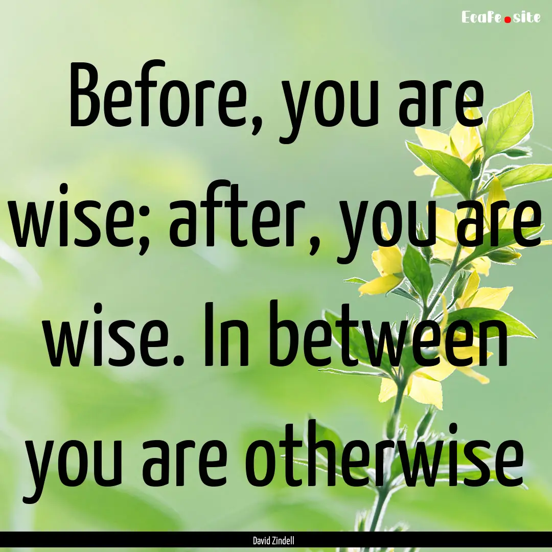 Before, you are wise; after, you are wise..... : Quote by David Zindell