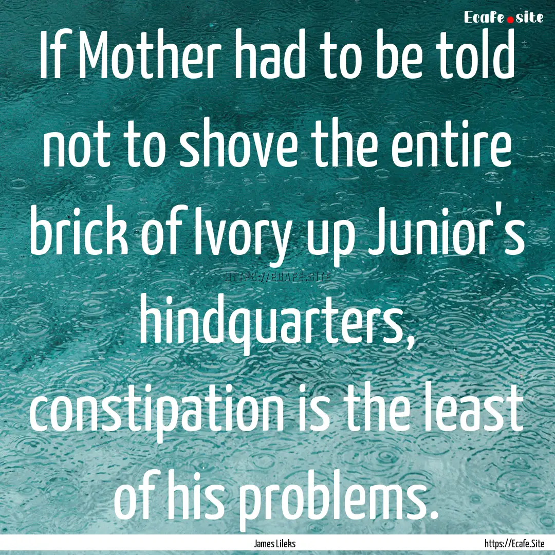 If Mother had to be told not to shove the.... : Quote by James Lileks