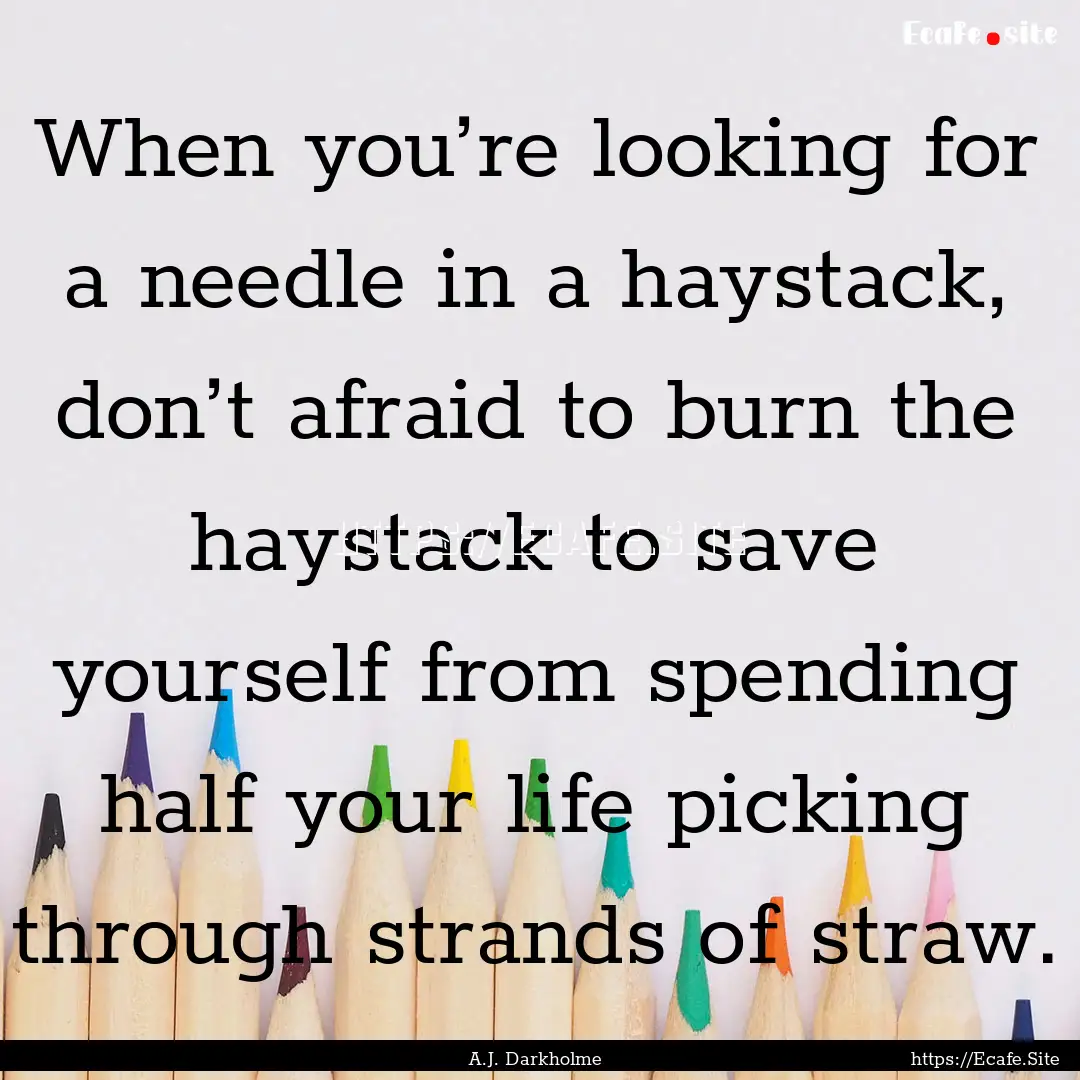 When you’re looking for a needle in a haystack,.... : Quote by A.J. Darkholme