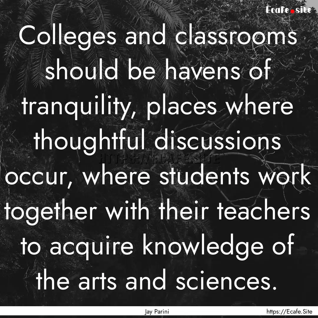 Colleges and classrooms should be havens.... : Quote by Jay Parini