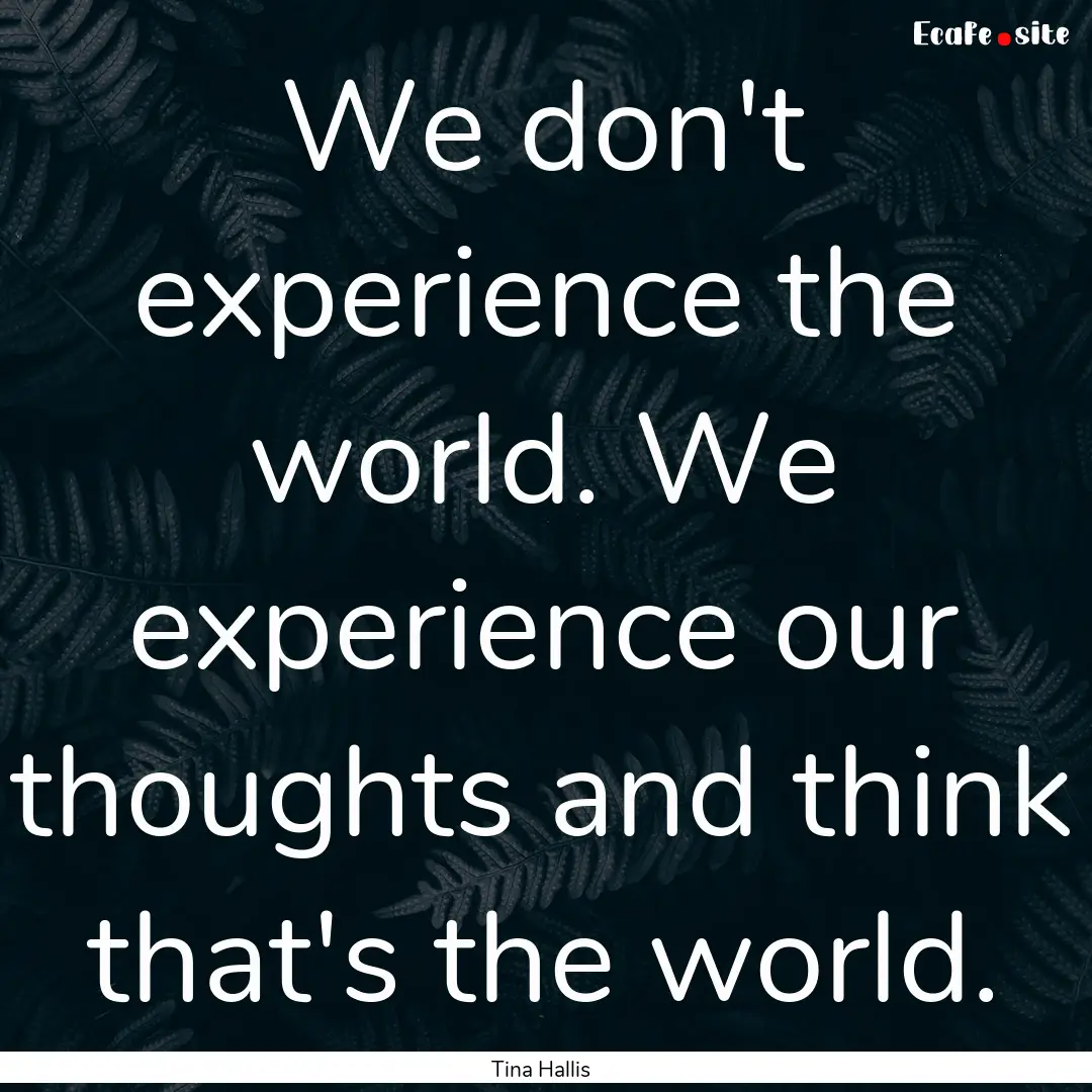 We don't experience the world. We experience.... : Quote by Tina Hallis