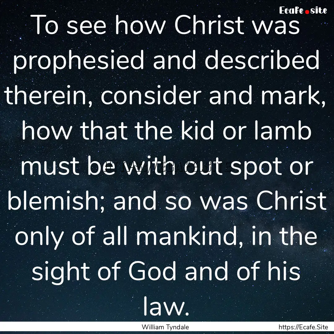 To see how Christ was prophesied and described.... : Quote by William Tyndale