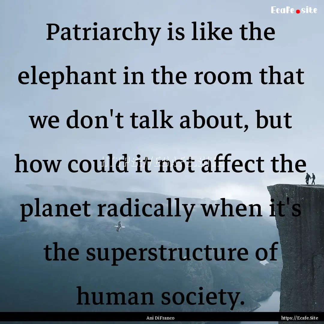 Patriarchy is like the elephant in the room.... : Quote by Ani DiFranco