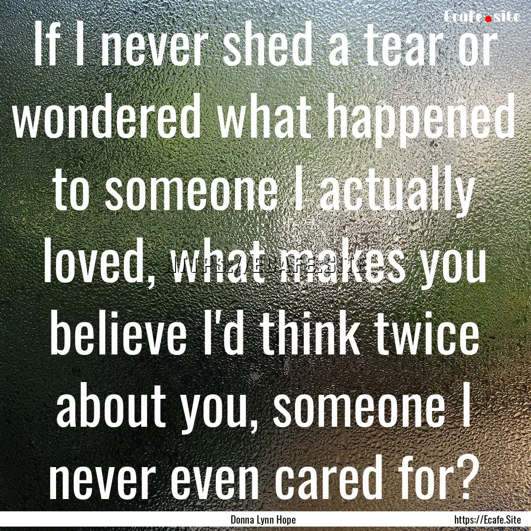 If I never shed a tear or wondered what happened.... : Quote by Donna Lynn Hope