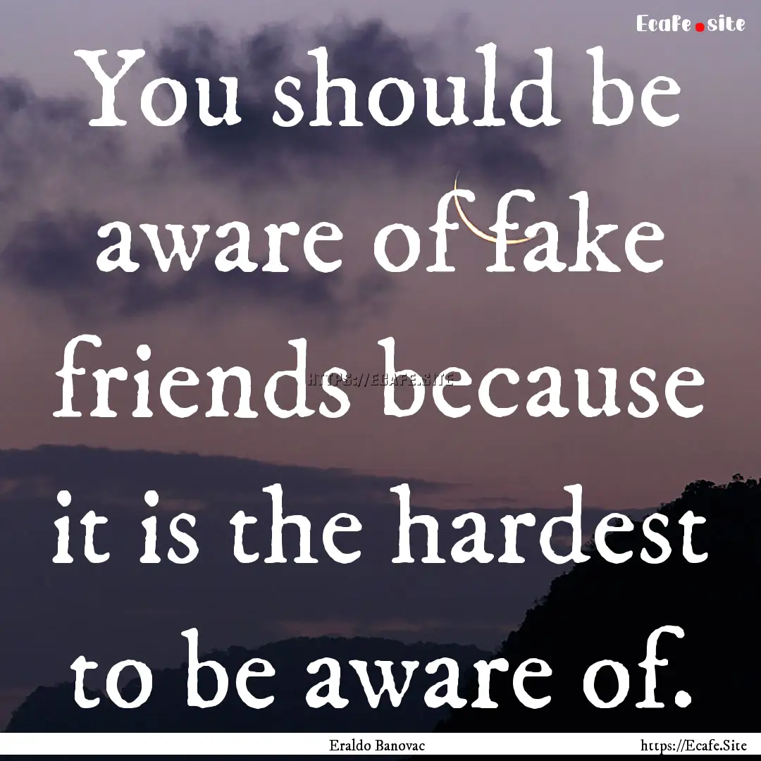 You should be aware of fake friends because.... : Quote by Eraldo Banovac