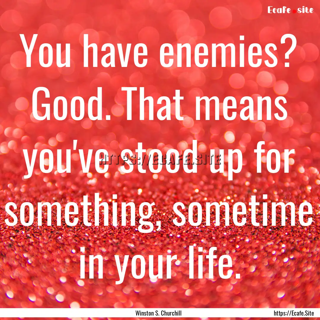 You have enemies? Good. That means you've.... : Quote by Winston S. Churchill