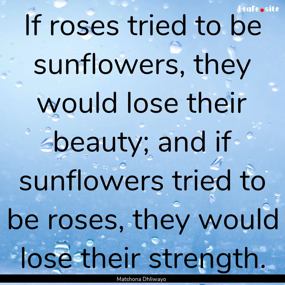 If roses tried to be sunflowers, they would.... : Quote by Matshona Dhliwayo