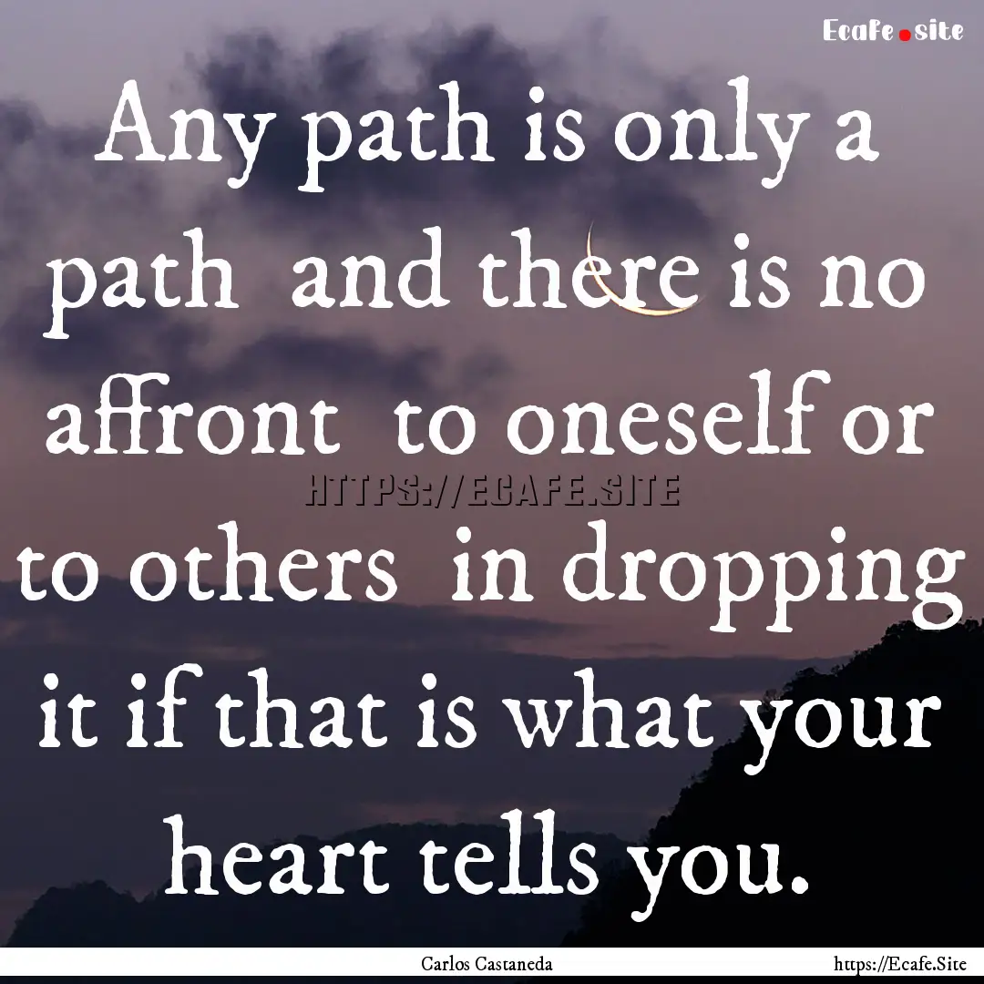 Any path is only a path and there is no.... : Quote by Carlos Castaneda