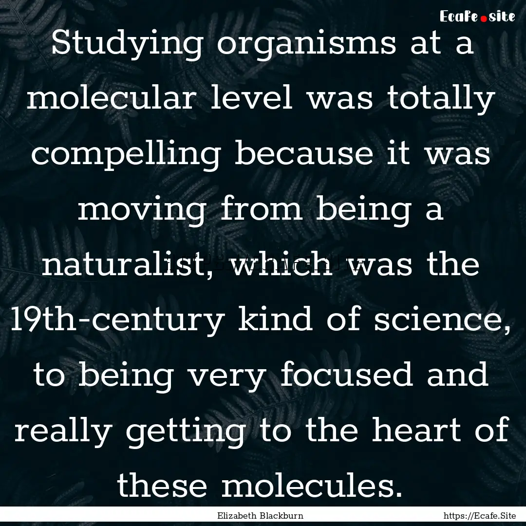 Studying organisms at a molecular level was.... : Quote by Elizabeth Blackburn