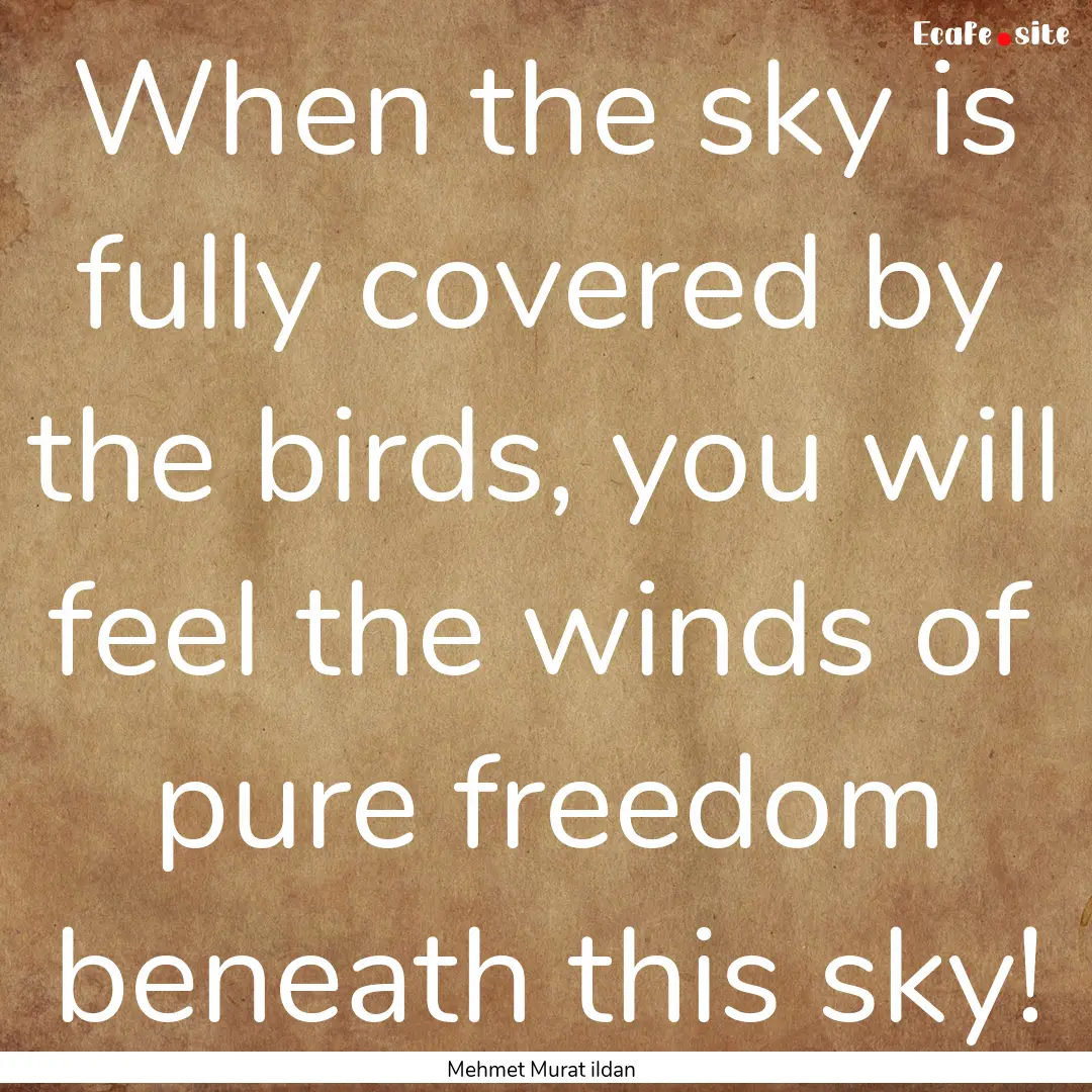 When the sky is fully covered by the birds,.... : Quote by Mehmet Murat ildan