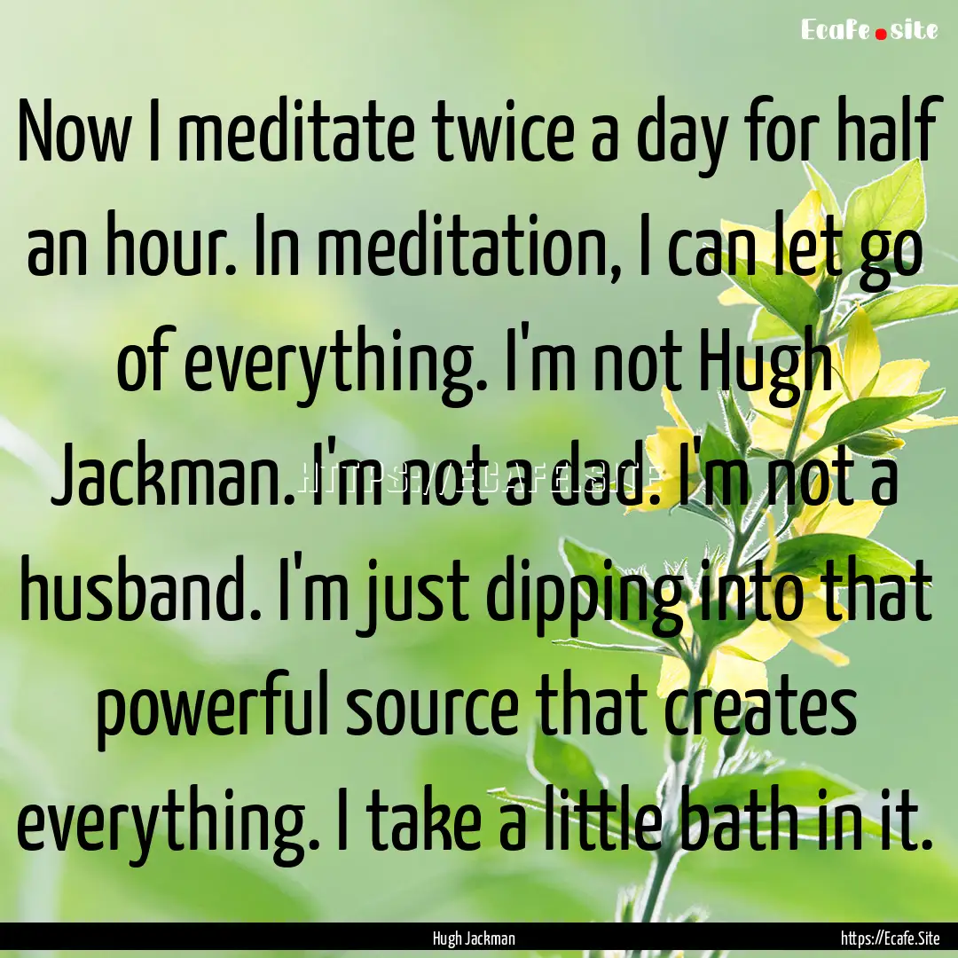 Now I meditate twice a day for half an hour..... : Quote by Hugh Jackman