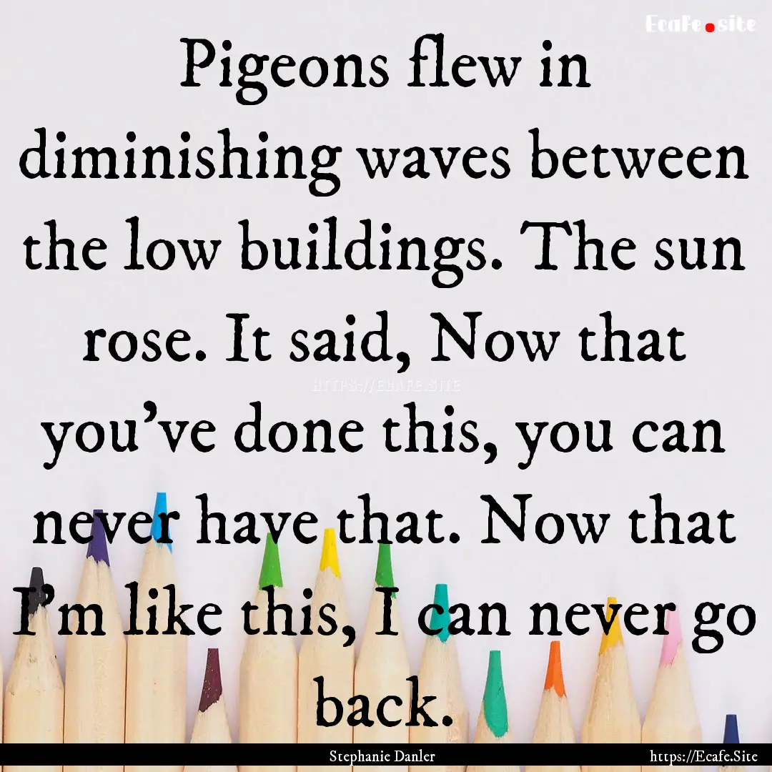 Pigeons flew in diminishing waves between.... : Quote by Stephanie Danler