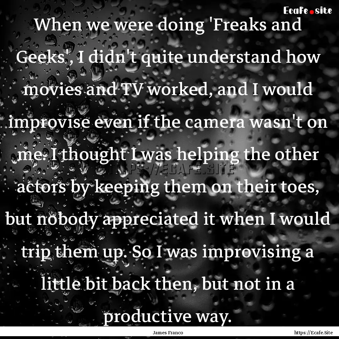 When we were doing 'Freaks and Geeks', I.... : Quote by James Franco