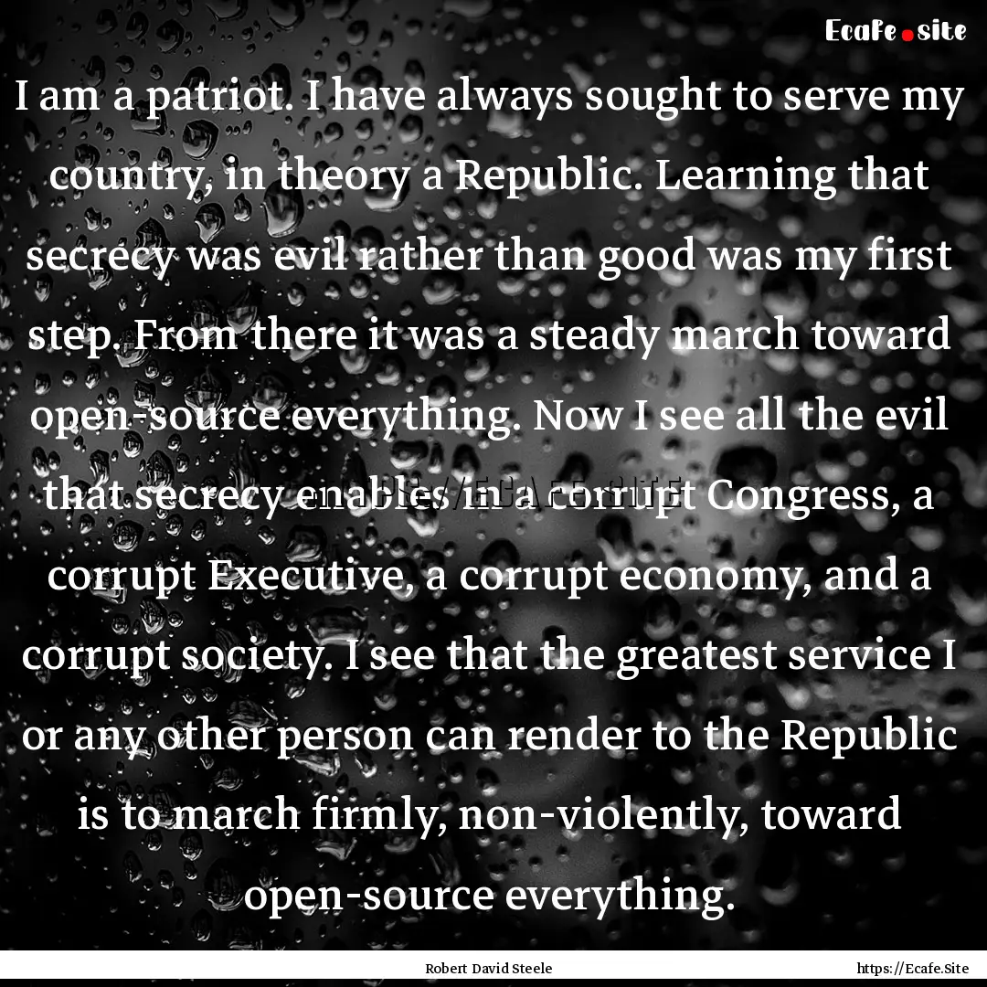 I am a patriot. I have always sought to serve.... : Quote by Robert David Steele