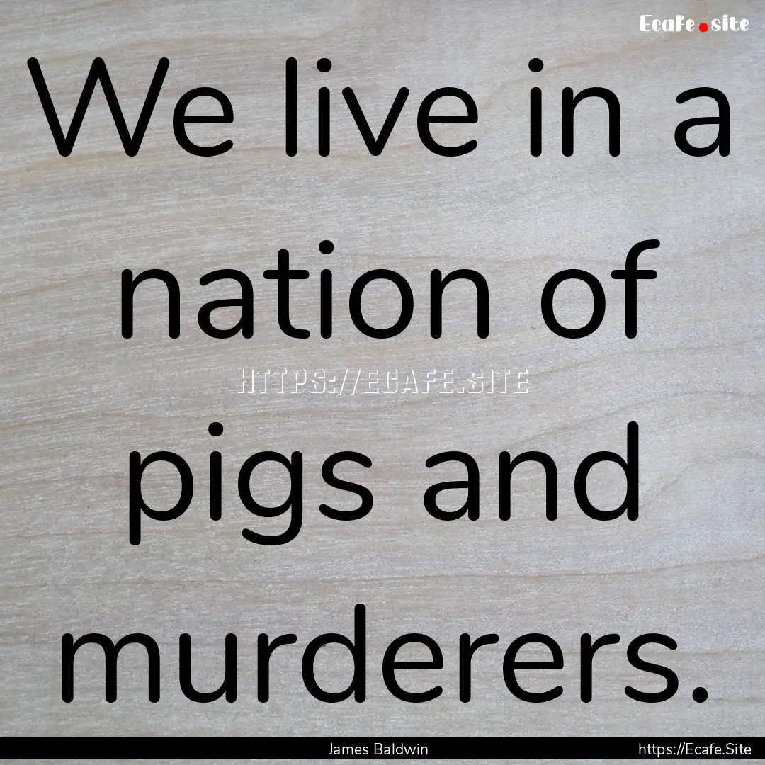 We live in a nation of pigs and murderers..... : Quote by James Baldwin