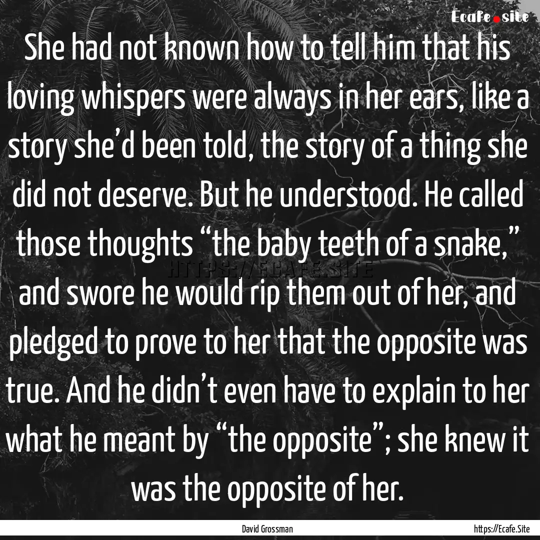 She had not known how to tell him that his.... : Quote by David Grossman