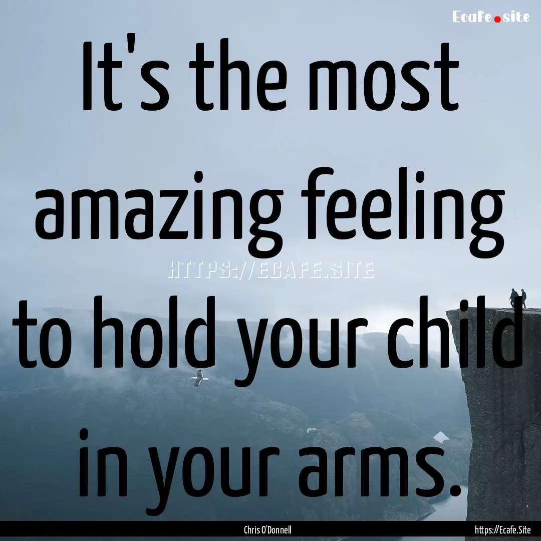 It's the most amazing feeling to hold your.... : Quote by Chris O'Donnell