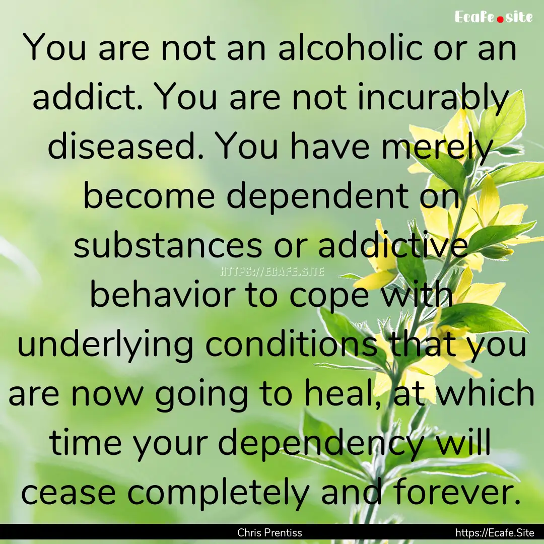 You are not an alcoholic or an addict. You.... : Quote by Chris Prentiss