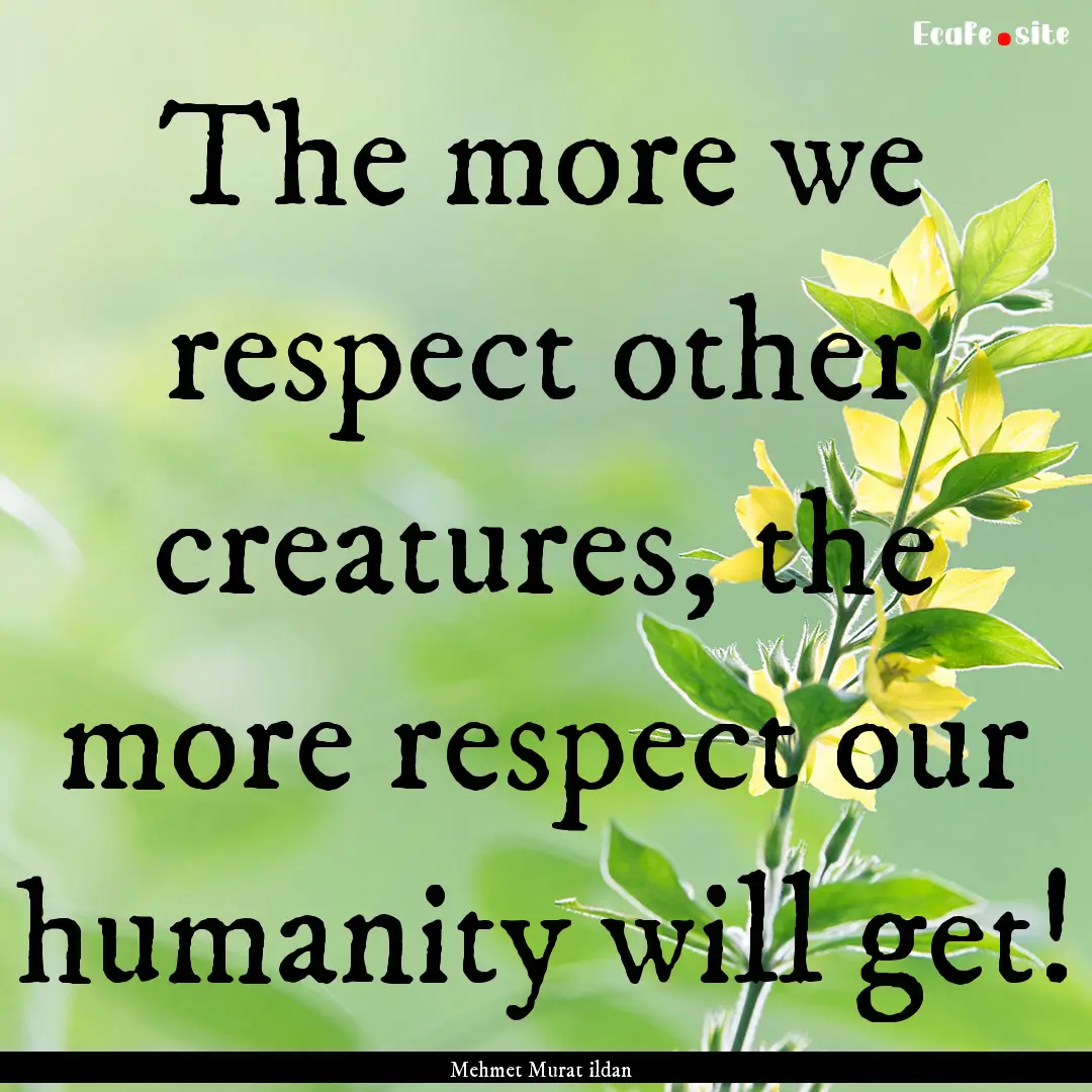 The more we respect other creatures, the.... : Quote by Mehmet Murat ildan