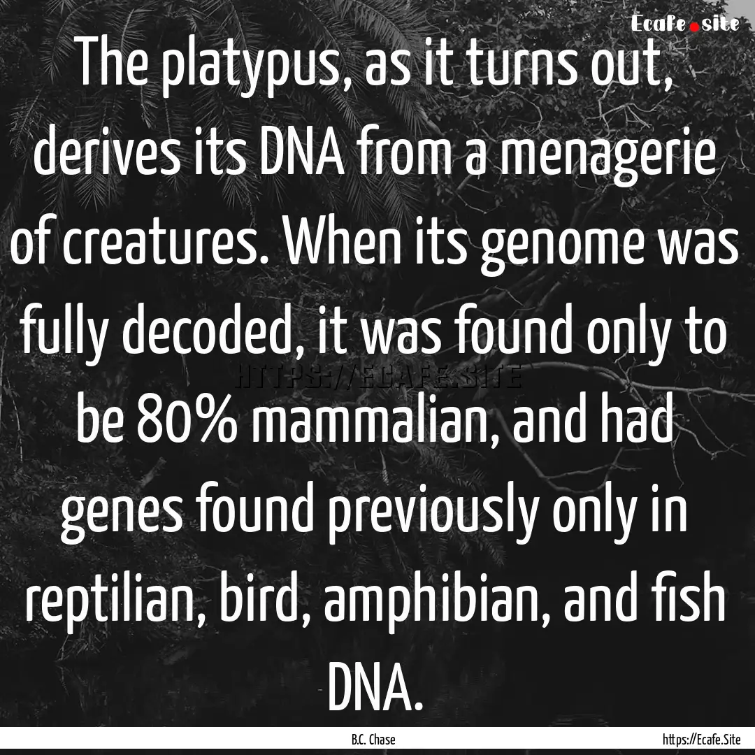 The platypus, as it turns out, derives its.... : Quote by B.C. Chase