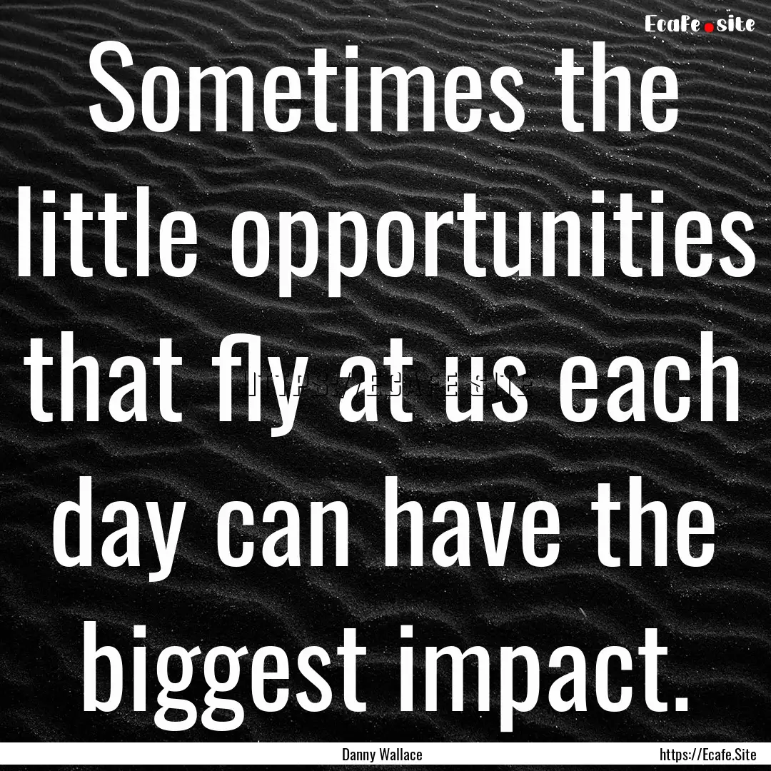 Sometimes the little opportunities that fly.... : Quote by Danny Wallace