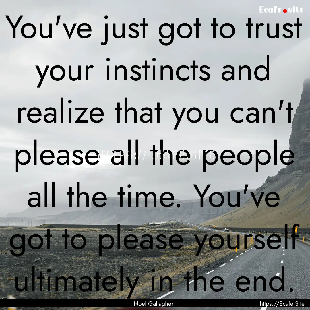 You've just got to trust your instincts and.... : Quote by Noel Gallagher