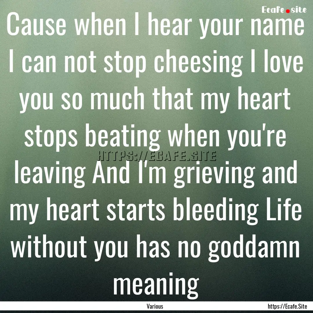 Cause when I hear your name I can not stop.... : Quote by Various