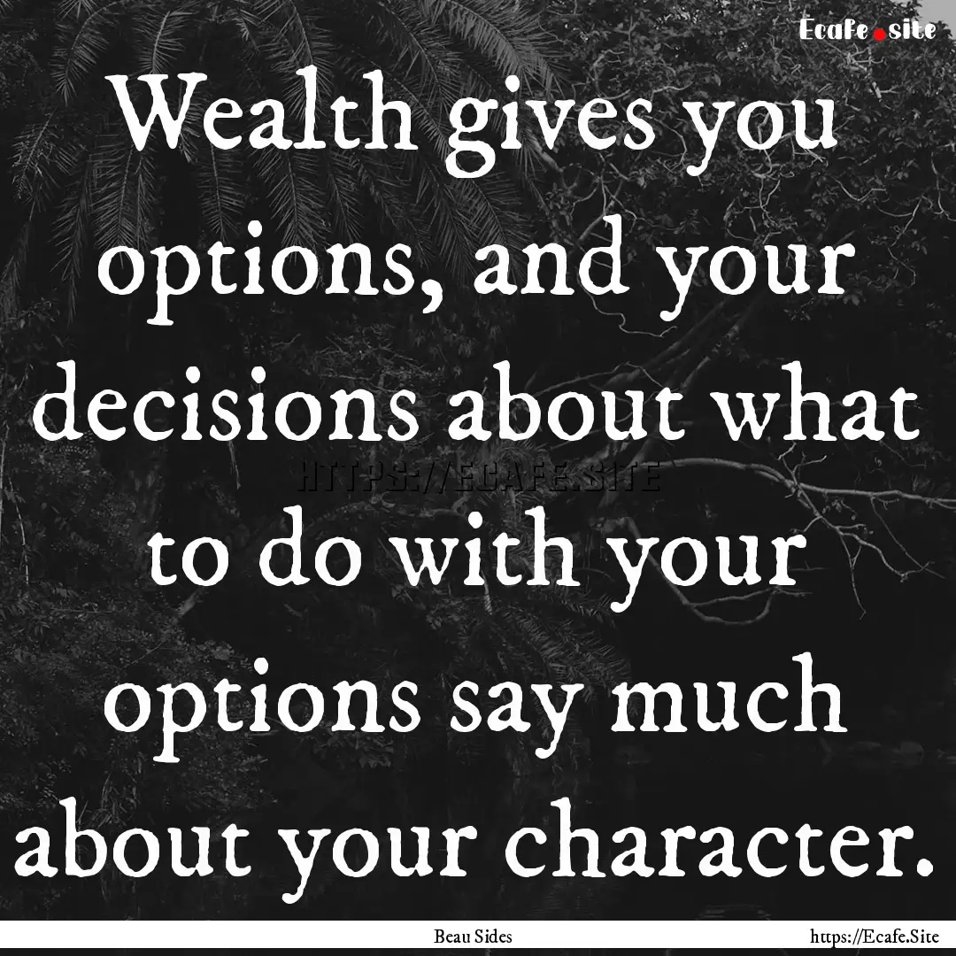 Wealth gives you options, and your decisions.... : Quote by Beau Sides