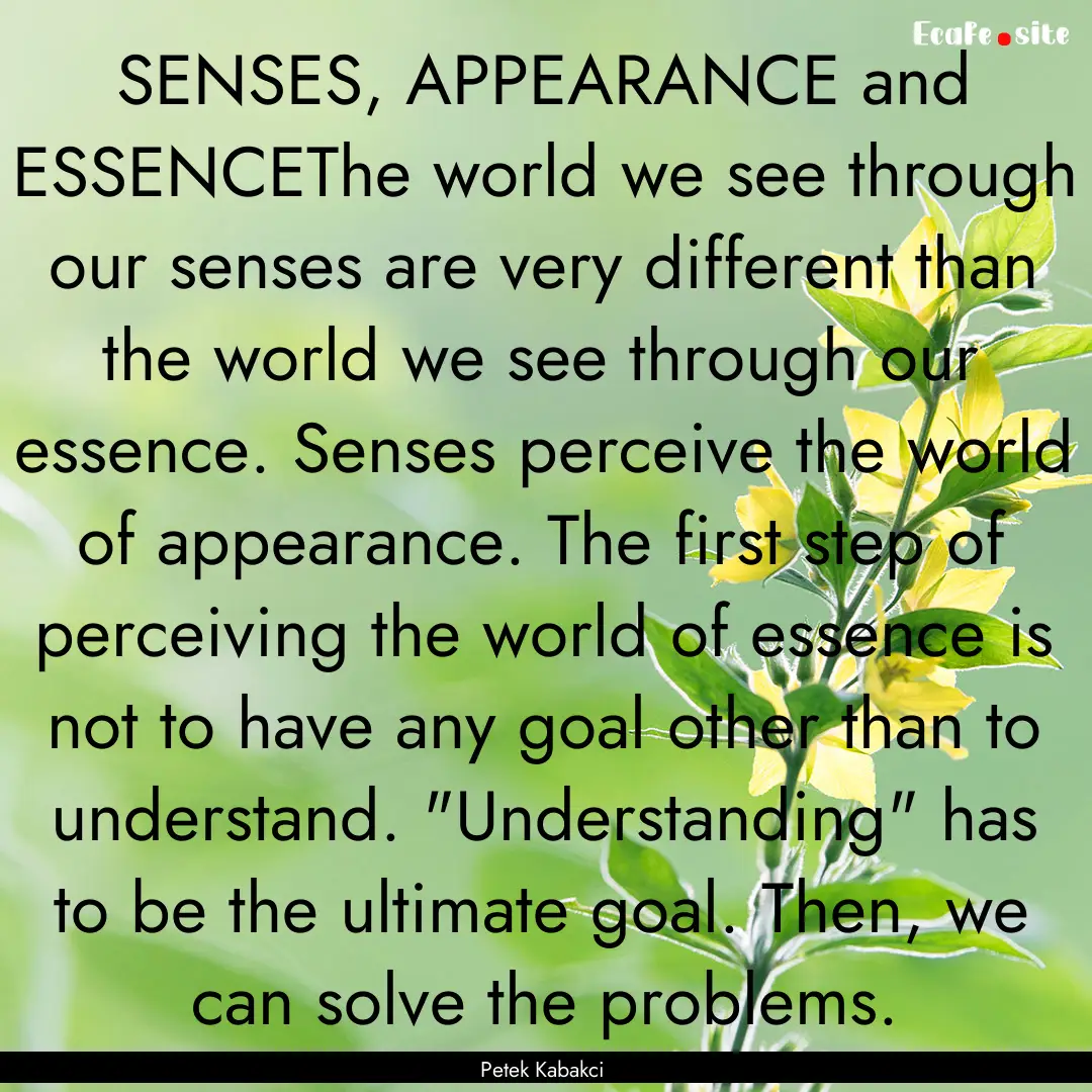 SENSES, APPEARANCE and ESSENCEThe world we.... : Quote by Petek Kabakci