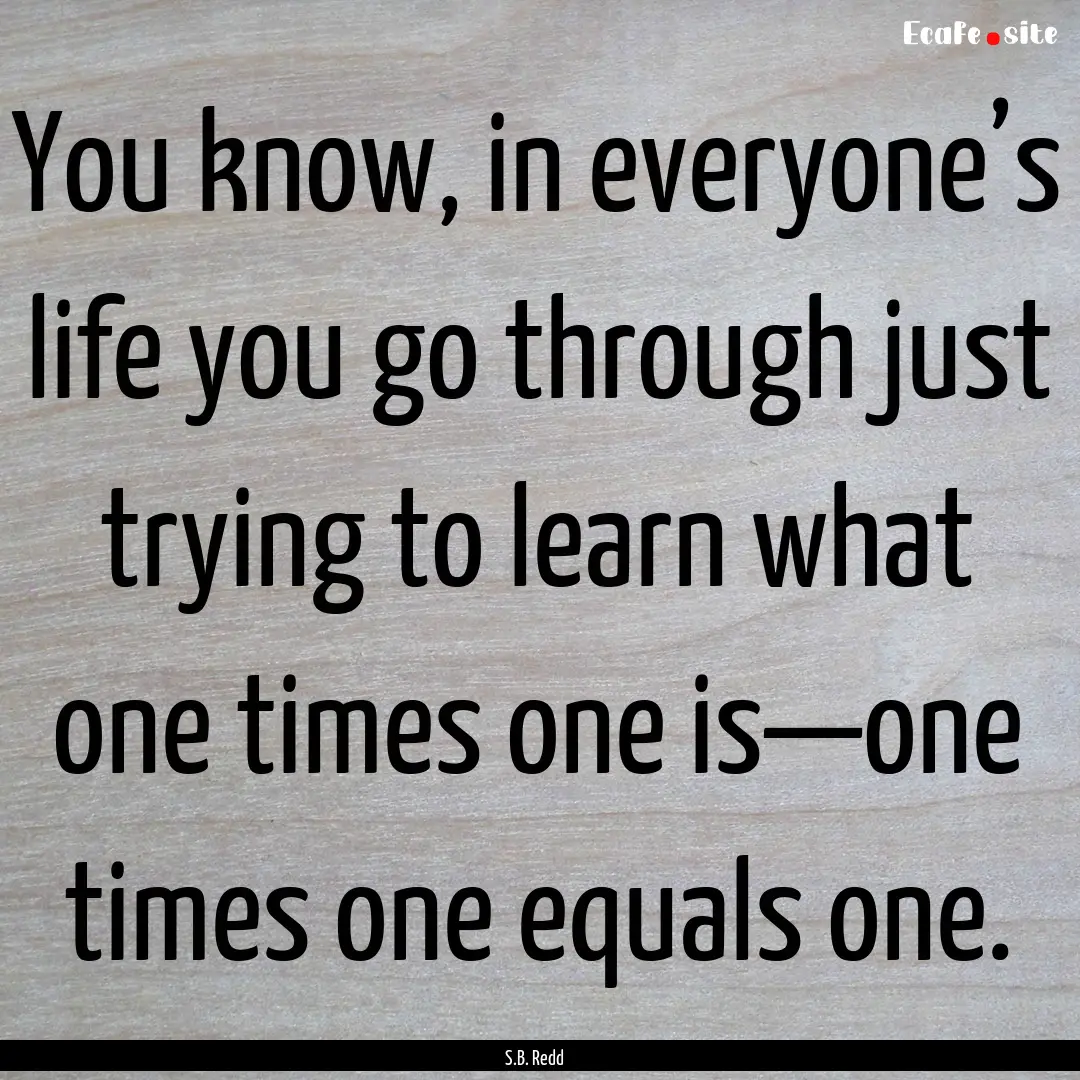 You know, in everyone’s life you go through.... : Quote by S.B. Redd