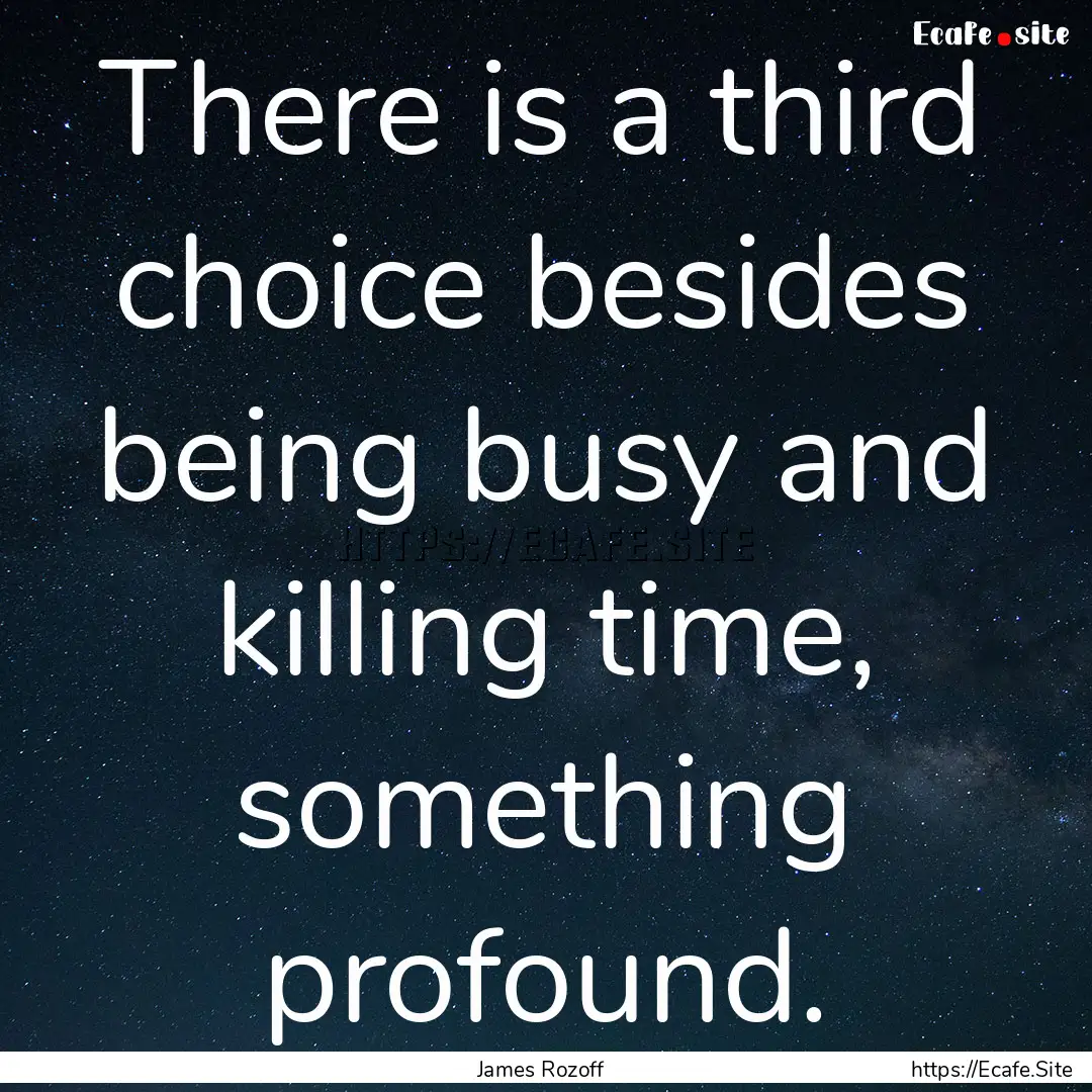 There is a third choice besides being busy.... : Quote by James Rozoff