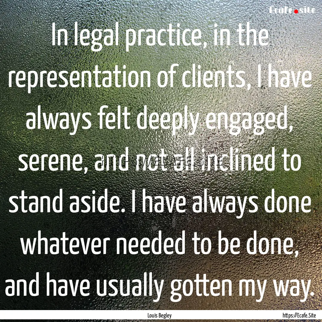 In legal practice, in the representation.... : Quote by Louis Begley