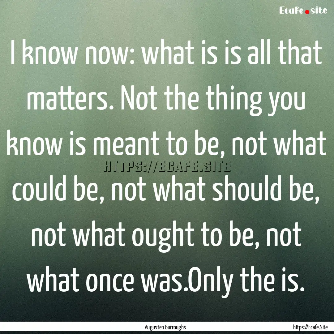 I know now: what is is all that matters..... : Quote by Augusten Burroughs