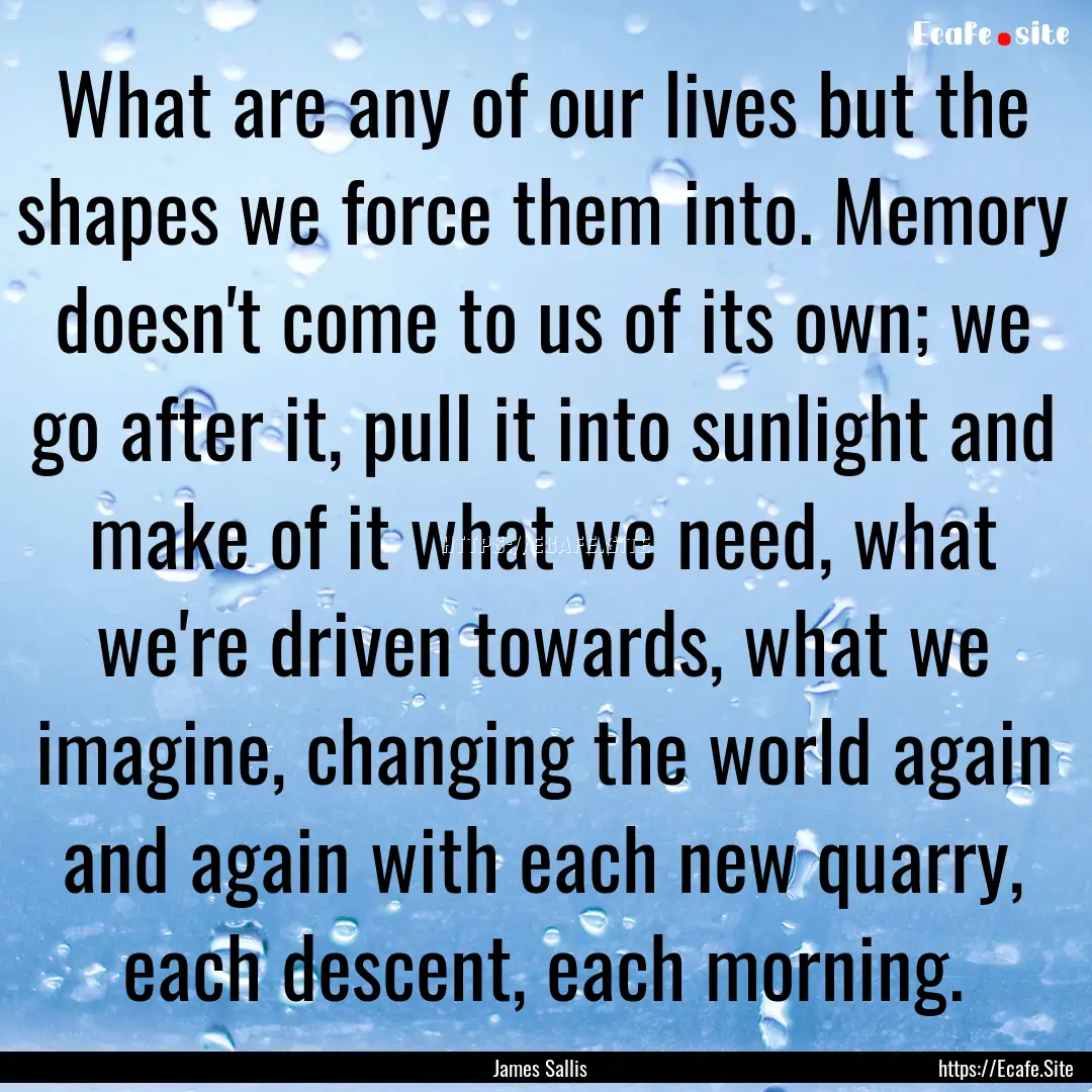 What are any of our lives but the shapes.... : Quote by James Sallis