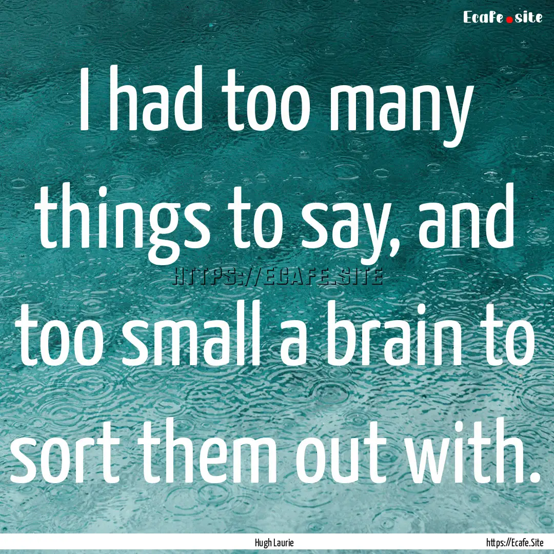 I had too many things to say, and too small.... : Quote by Hugh Laurie