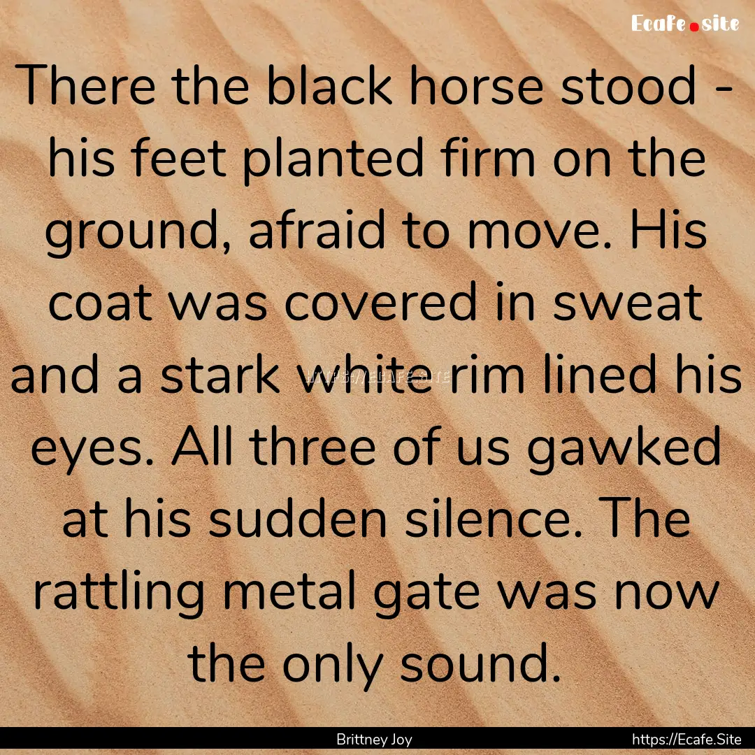 There the black horse stood - his feet planted.... : Quote by Brittney Joy