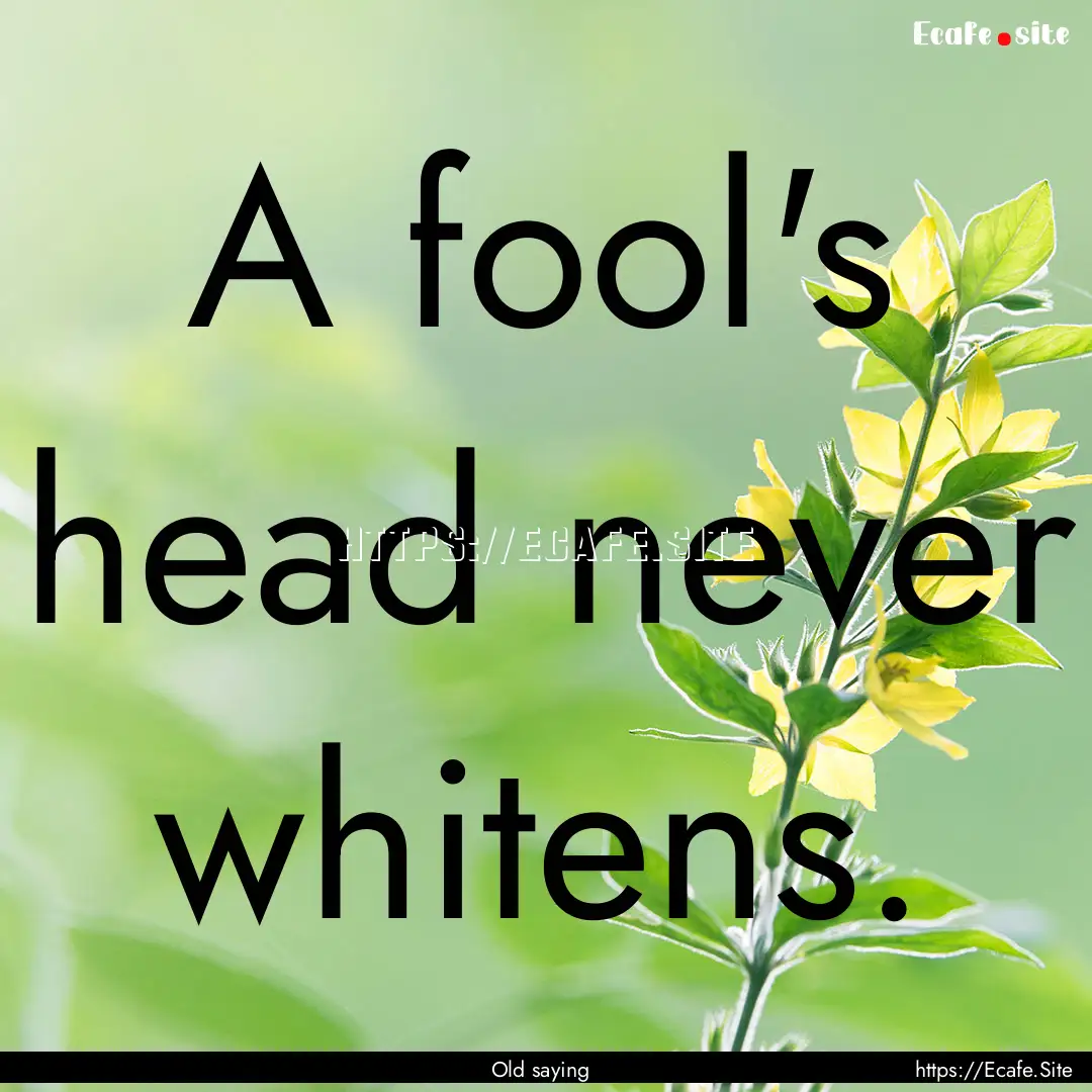 A fool's head never whitens. : Quote by Old saying