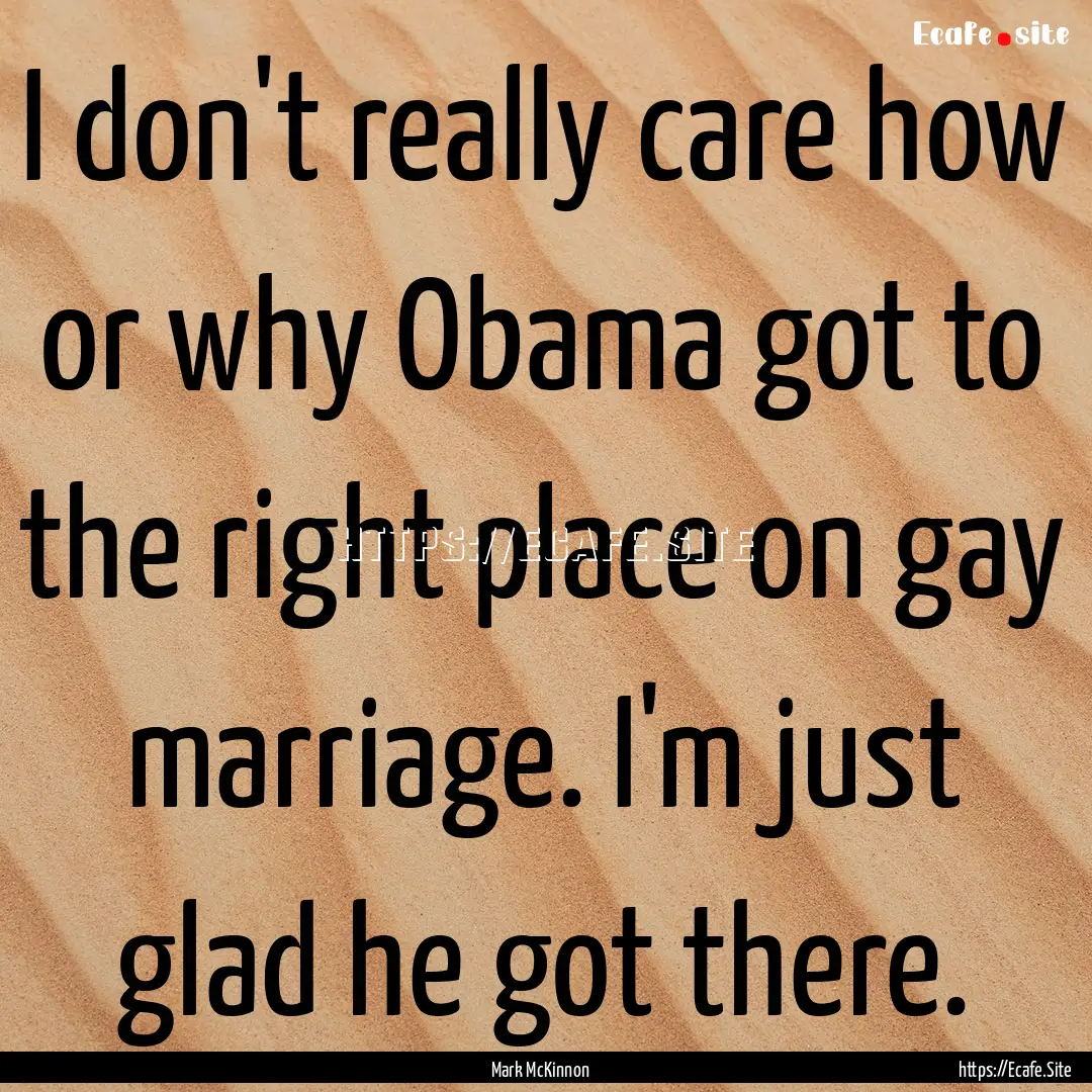 I don't really care how or why Obama got.... : Quote by Mark McKinnon