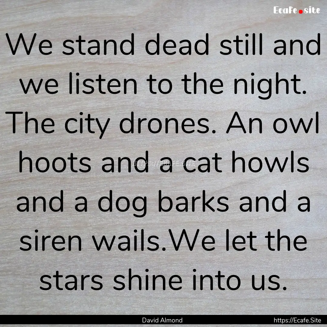 We stand dead still and we listen to the.... : Quote by David Almond