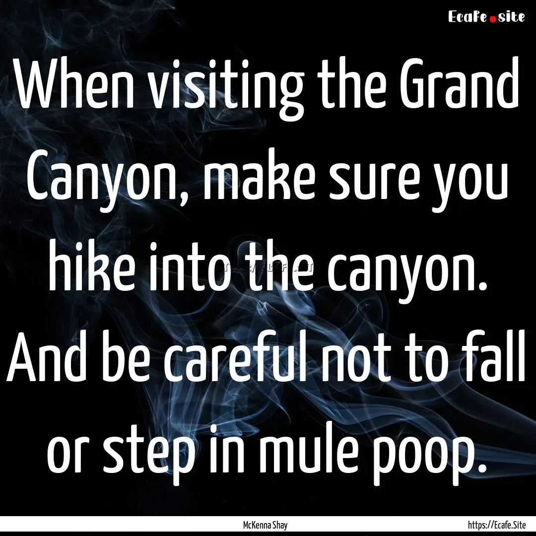 When visiting the Grand Canyon, make sure.... : Quote by McKenna Shay