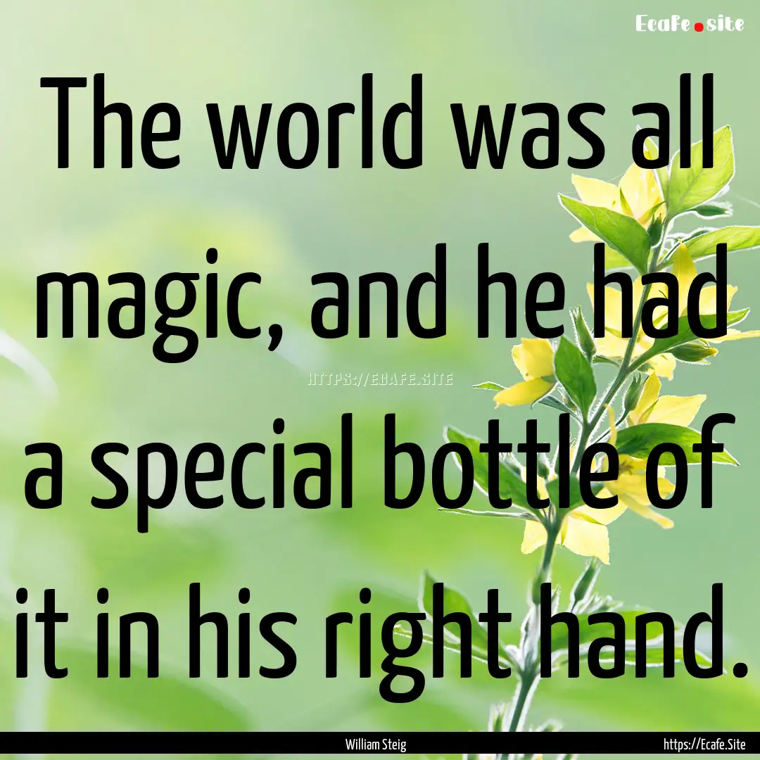 The world was all magic, and he had a special.... : Quote by William Steig